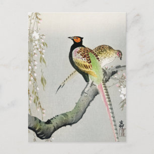 Postal Faisanes y flor de cerezo ++ Ohara Koson -