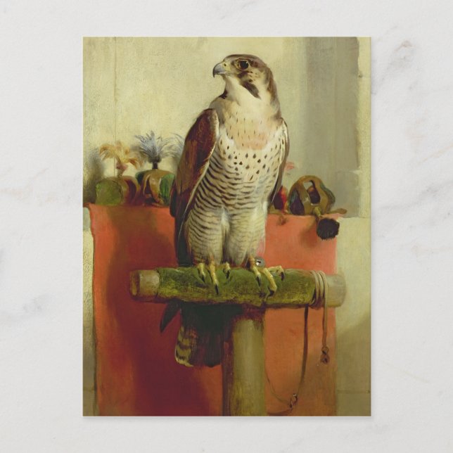 Postal Falcon, 1837 (Anverso)