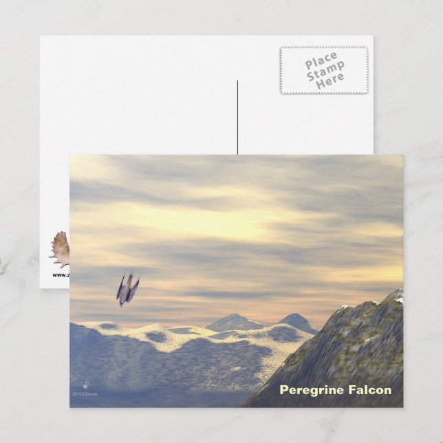 Postal Falcon peregrino de velocidad de terminal (Anverso / Reverso)