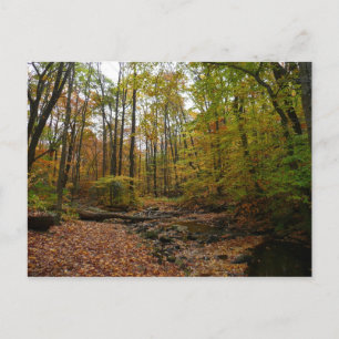 Postal Fall Creek en Laurel Hill State Park Pennsylvania