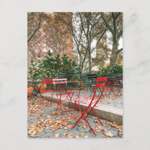 Postal Fall Foliage New York City Cafe Park Postcard
