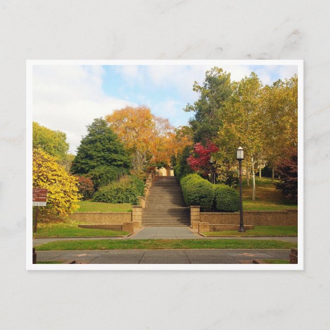 Postal Fall Foliage Washington, D.C. Postcard (Anverso)