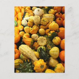 Postal Fall Gourds