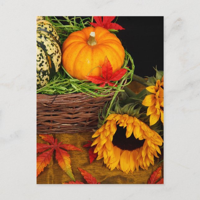 Postal Fall Harvest Sunflowers (Anverso)