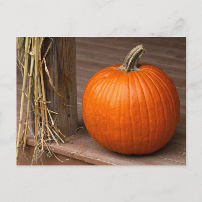 Postal Fall Pumpkin on Porch (Anverso)