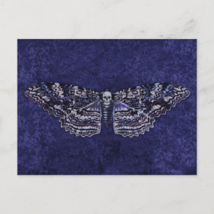 Postal Falln Deathshead Moth