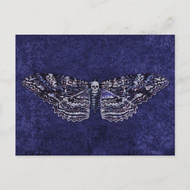 Postal Falln Deathshead Moth (Anverso)