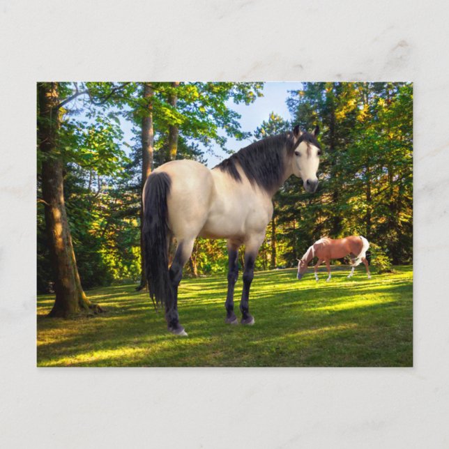 Postal "Fallon" (Anverso)