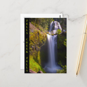Postal Falls Creek Falls Gifford Pinchot