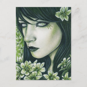 Postal falsa hellebore Bonitos Poisons