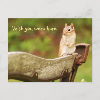 Postal Falta Chipmunk