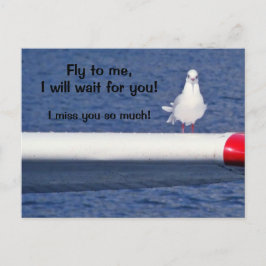 Postal Falta - Postcard de gaviota