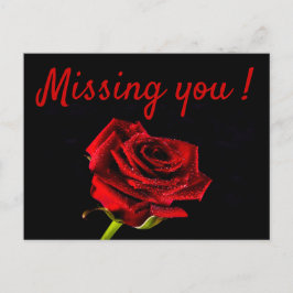 Postal Falta tu romántica rosa roja