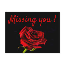 Falta tu romántica rosa roja