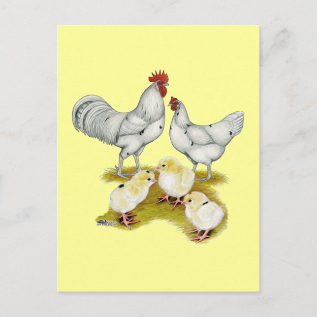 Postal Familia blanca de Australia (Anverso)