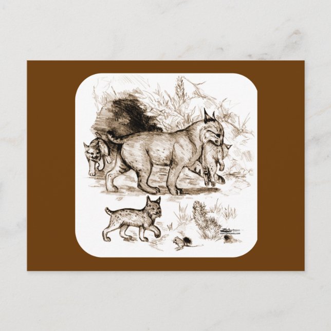 Postal Familia Bobcat (Anverso)