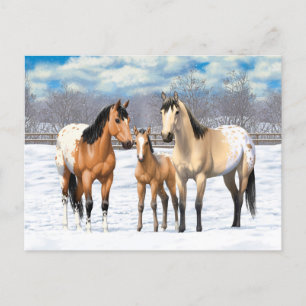 Postal Familia De Caballos Appaloosa De Cuello De Buckski
