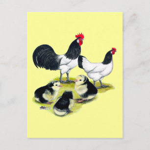 Postal Familia de gallinas Lakenvelder