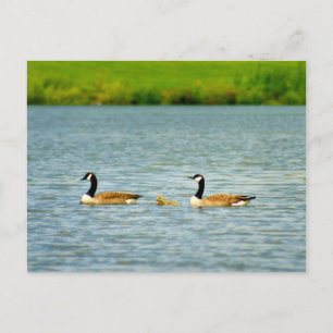 Postal Familia de los Tres