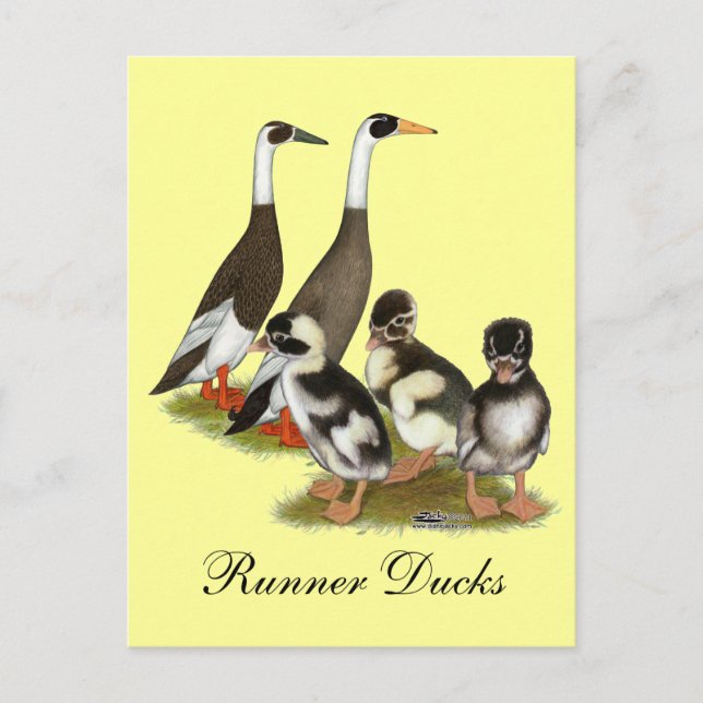 Postal Familia de patos corredores con lápiz Emery (Anverso)