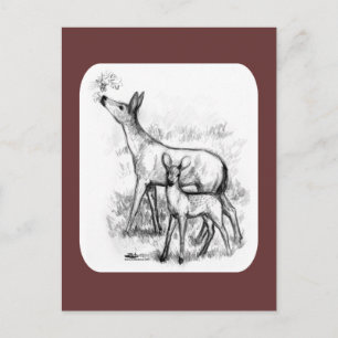 Postal Familia Deer