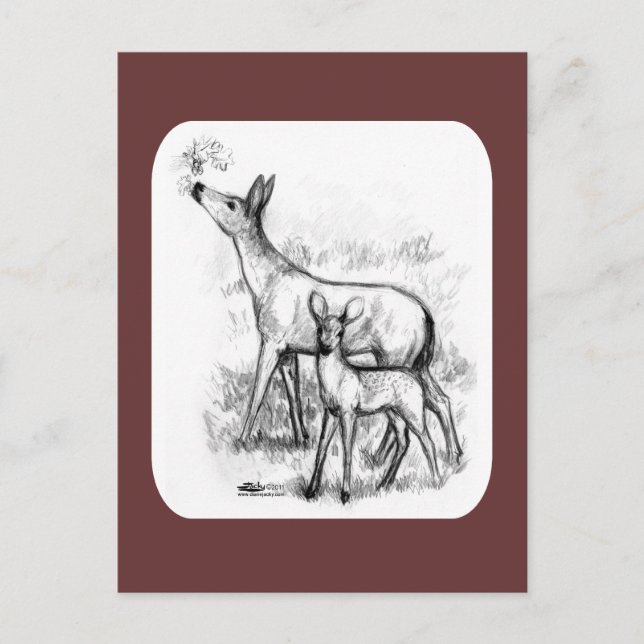 Postal Familia Deer (Anverso)