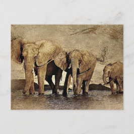 Postal Familia Elephant