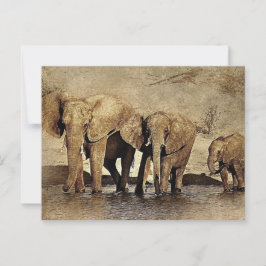 Postal Familia Elephant