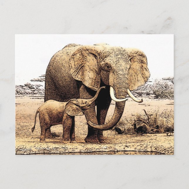 Postal Familia Elephant (Anverso)