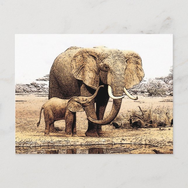 Postal Familia Elephant (Anverso)