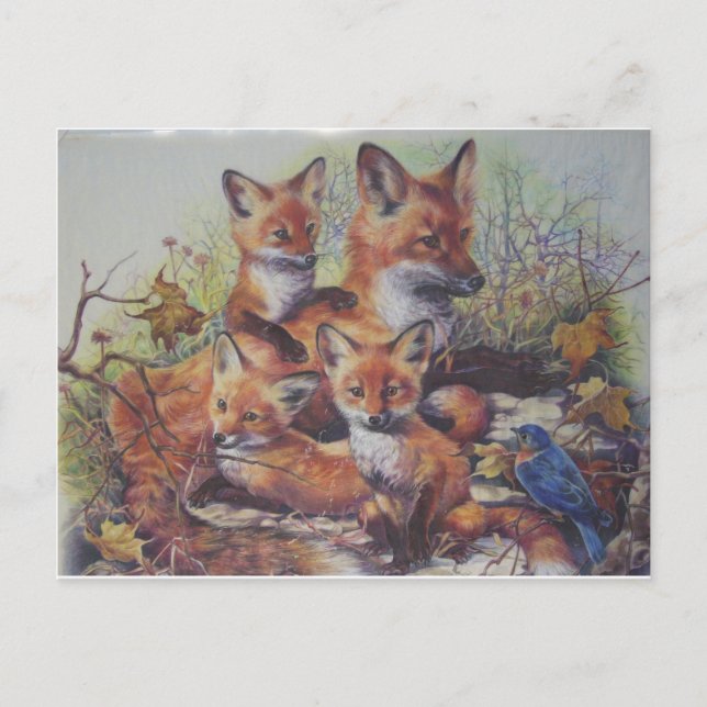 Postal Familia Fox (Anverso)