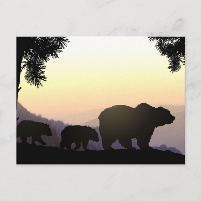 Postal Familia Grizzly Bear (Anverso)