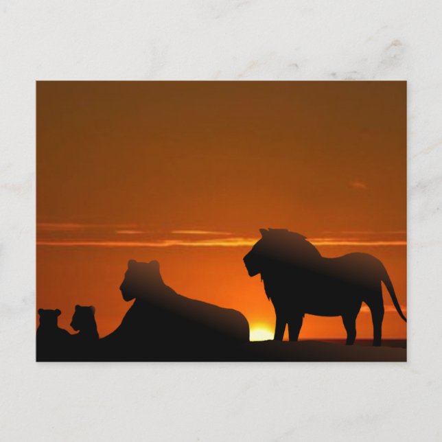 Postal familia león (Anverso)