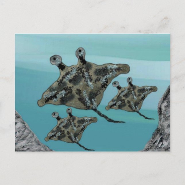Postal Familia Manta Ray (Anverso)