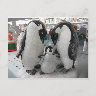 Postal Familia Penguin