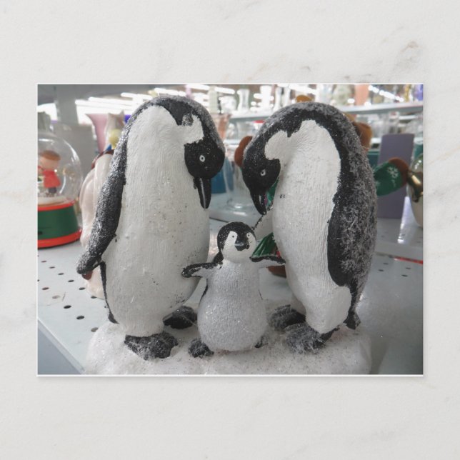 Postal Familia Penguin (Anverso)