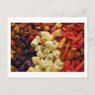 Postal Familia Pepper