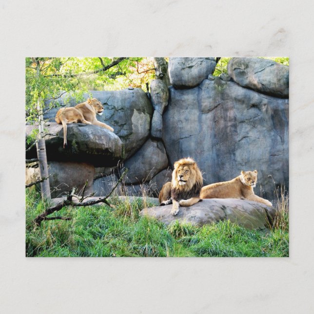 Postal Familia Real (Anverso)