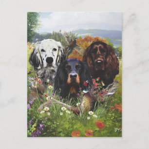 Postal Familia Setters