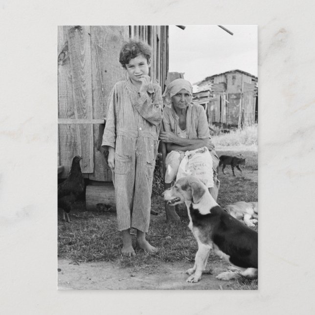 Postal Familia Sharecropper con perro honrado, 1935 (Anverso)