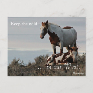 Postal Familia silvestre, predirección: Sección del Inter