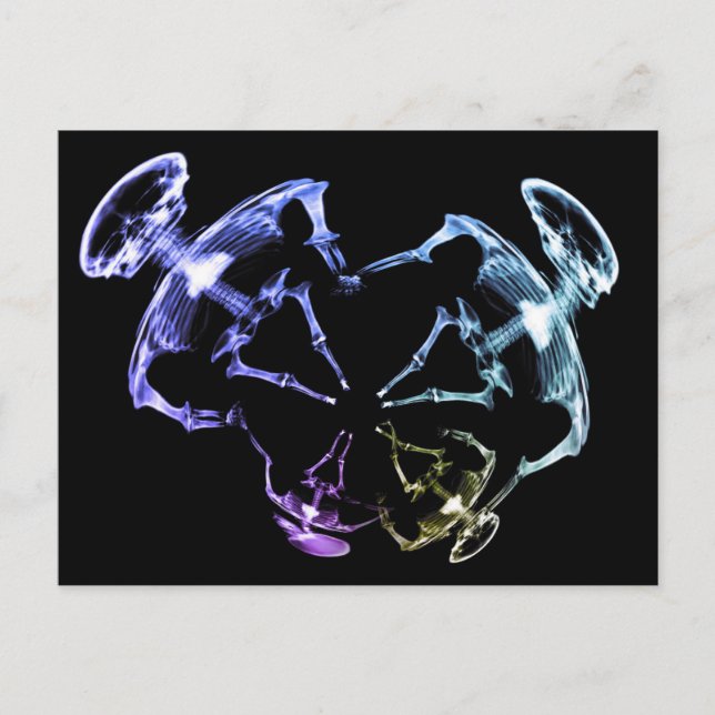 Postal Familia Skeleton Stretched X-Ray 2 (Anverso)