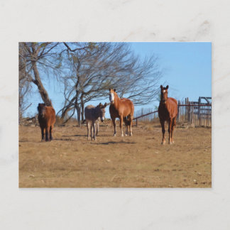 Postal Familia y amigos