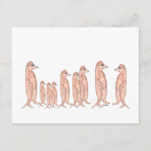 Postal familiar de Meerkat