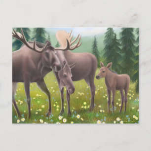 Postal familiar Moose