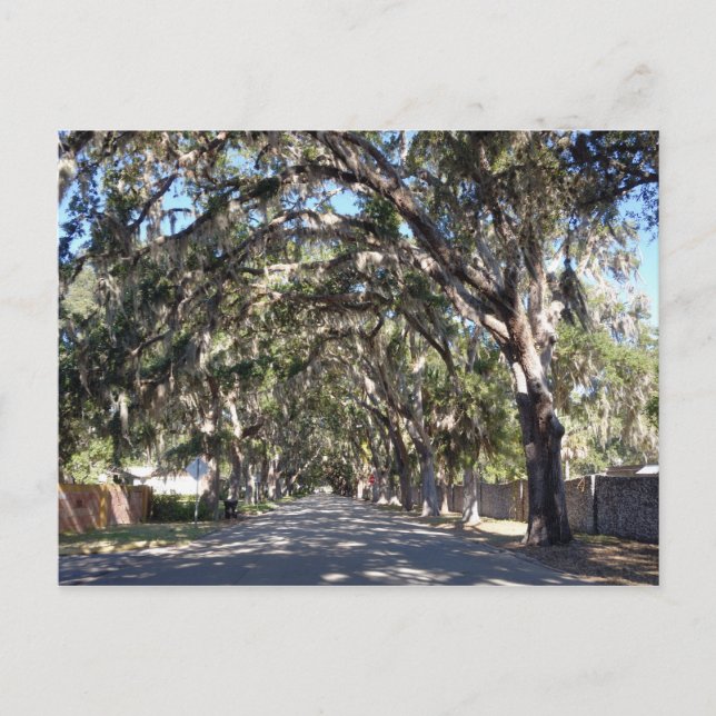 Postal famosa avenue st augustine florida usa (Anverso)