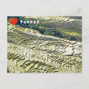 Postal Famosas terrazas de arroz yuanyang - Yunnan, China
