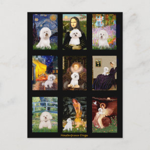 Postal Famoso Arte Bichon Frise Compuesto