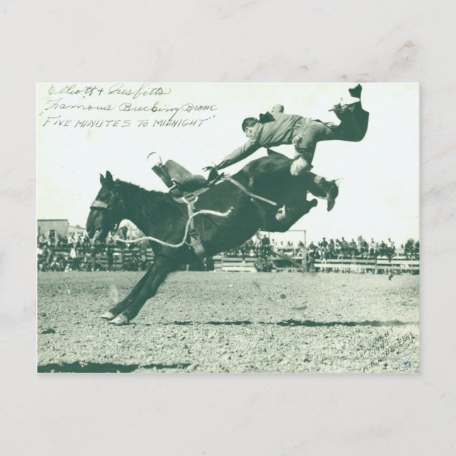 Postal Famoso Bucking Bronc Cinco Minutos (Anverso)