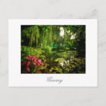 Postal Famoso Claude Monet Giverny Pond Lilies Postcard<br><div class="desc">Famoso Claude Monet Giverny, France Pond con Lilies Canvas Stylized Photo Postcard para añadir a su colección de recuerdos de viaje. Un regalo fresco / idea presente para todos los que aman el diseño personalizado de objetos personalizados, vibraciones positivas, arquitectura, viajes, todo lo francés, paisajes mágicos, naturaleza, flores, romance, arte,...</div>